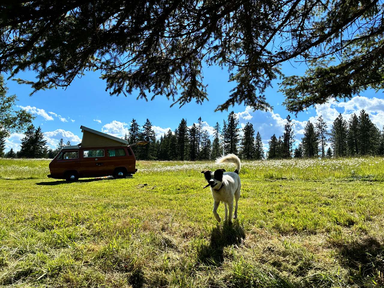 Private 10 acres in the country
