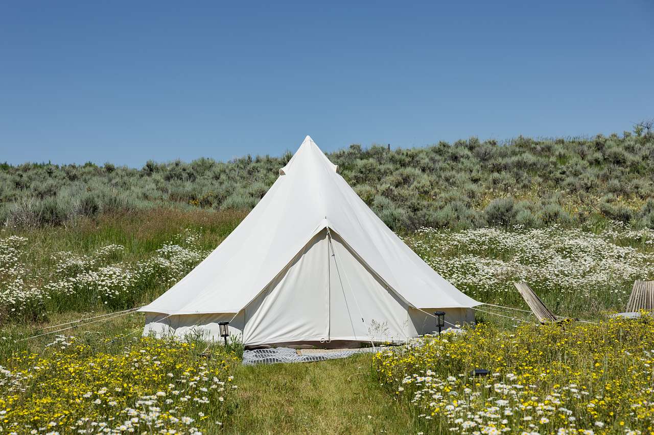 Teton Creekside Meadow Camp
