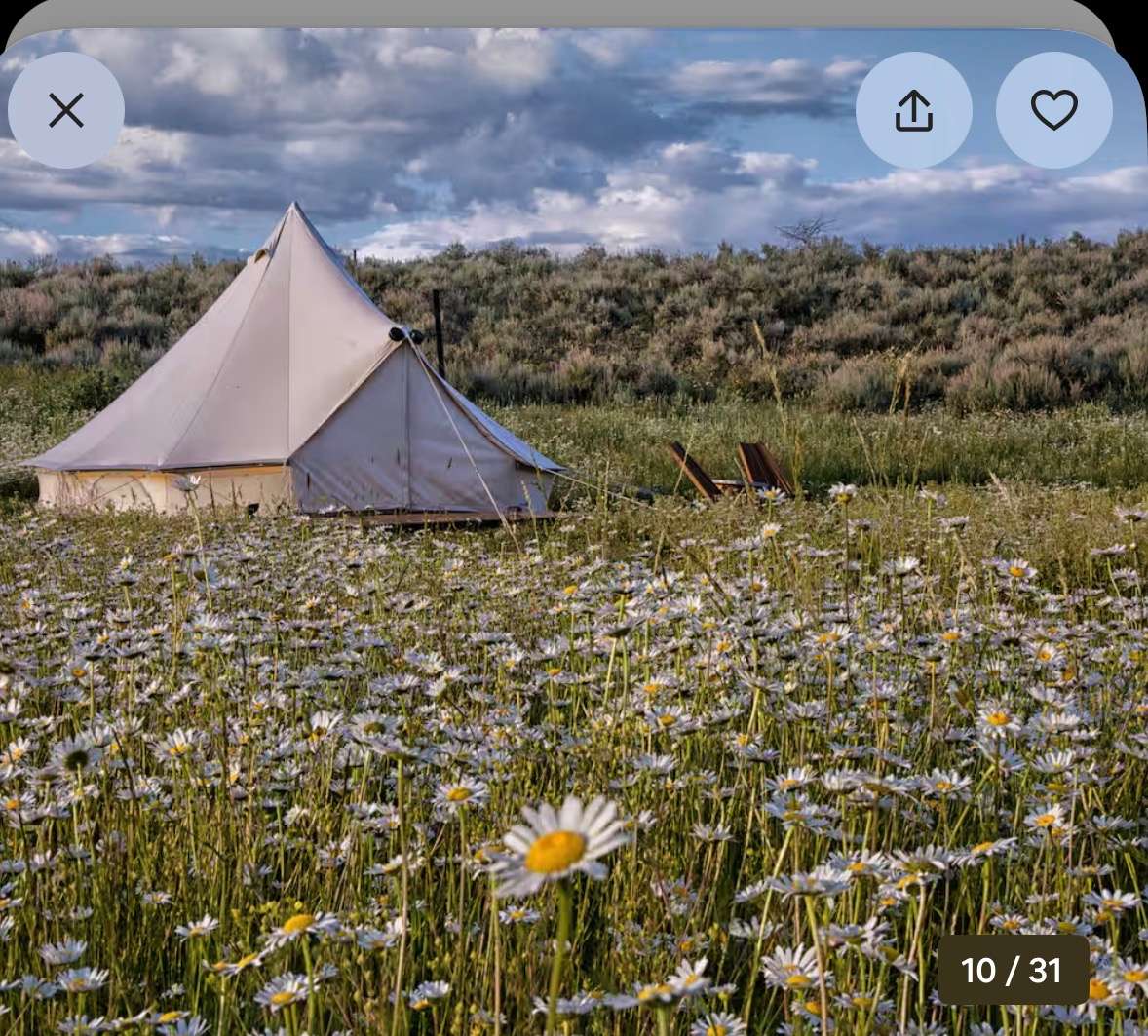 Teton Creekside Meadow Camp