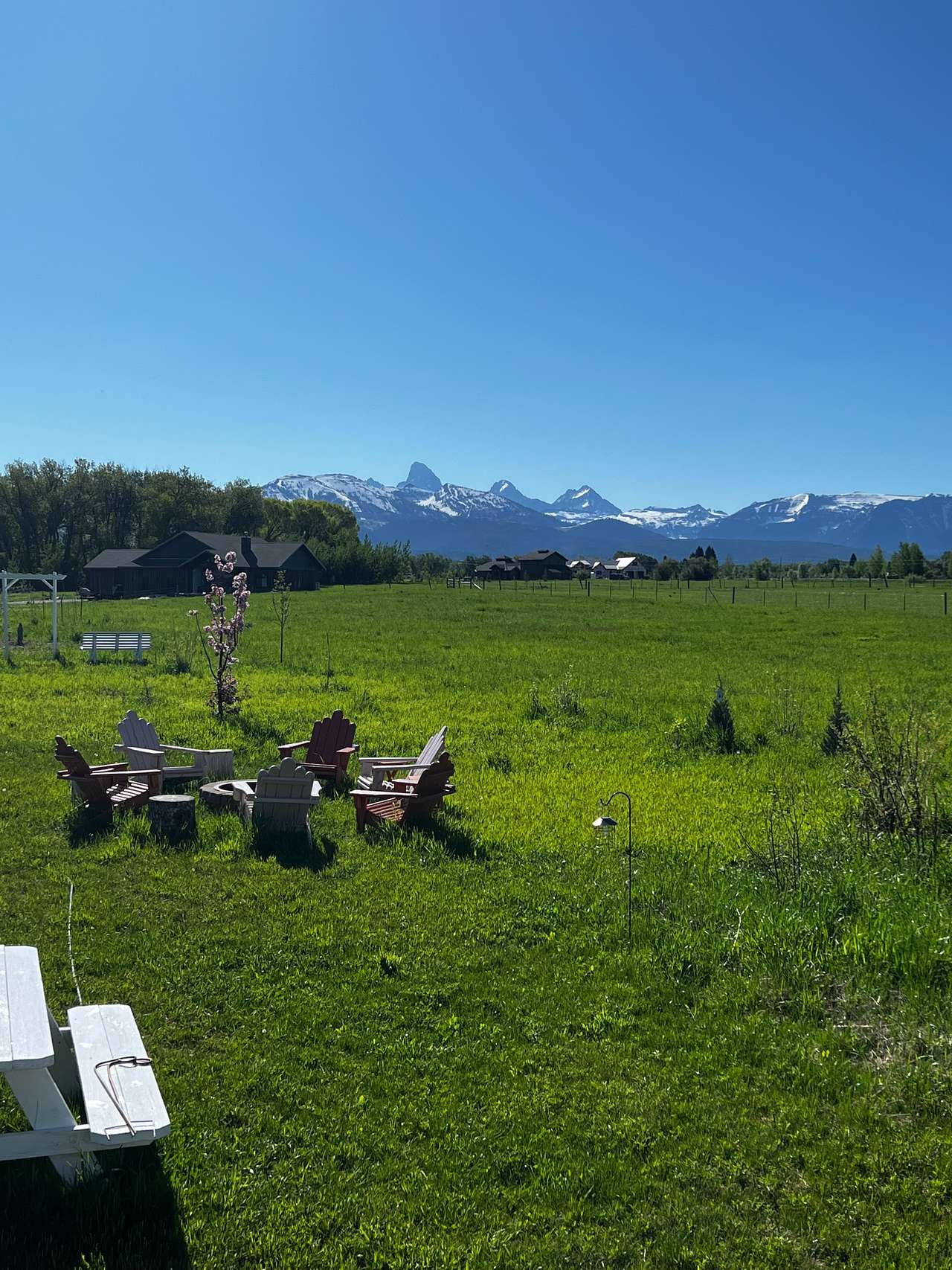 Teton Creekside Meadow Camp