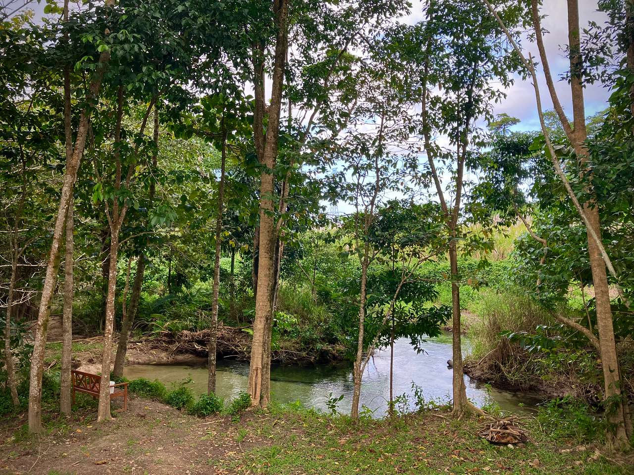 Figtree Creek Oasis