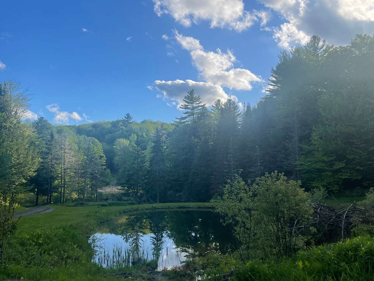 Shadow Pond on 28 Peaceful Acres