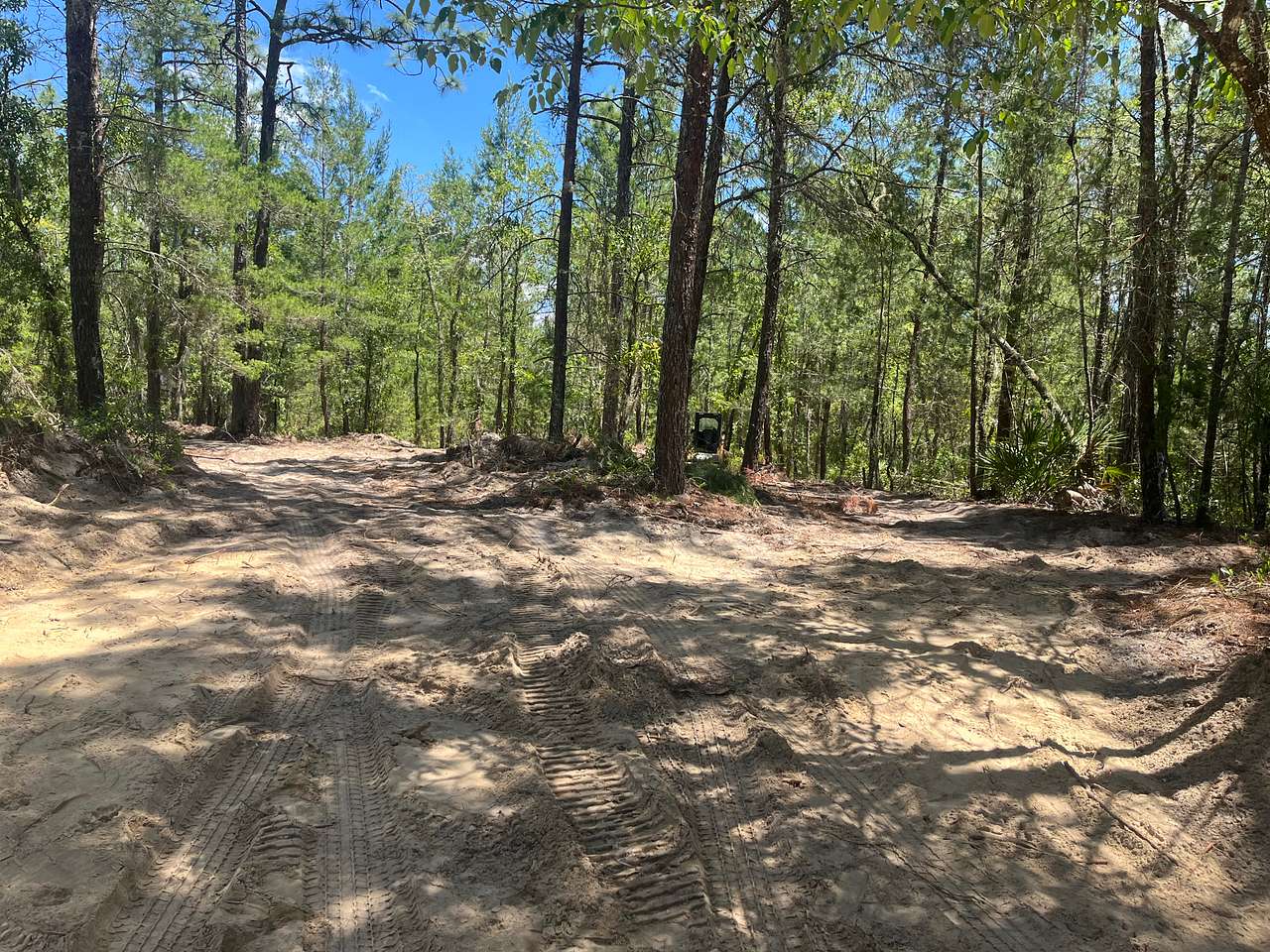 Camp