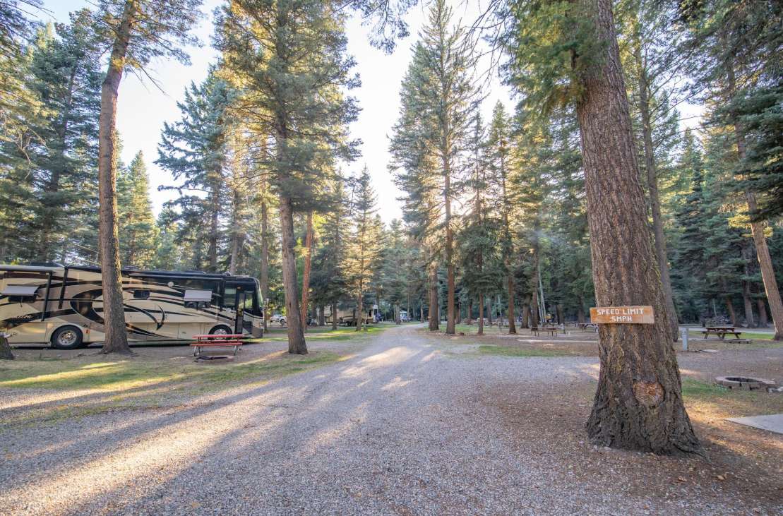 Blue Spruce RV Park & Cabins