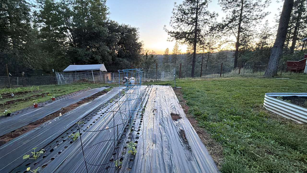The Bunkie @ Wild Family Homestead