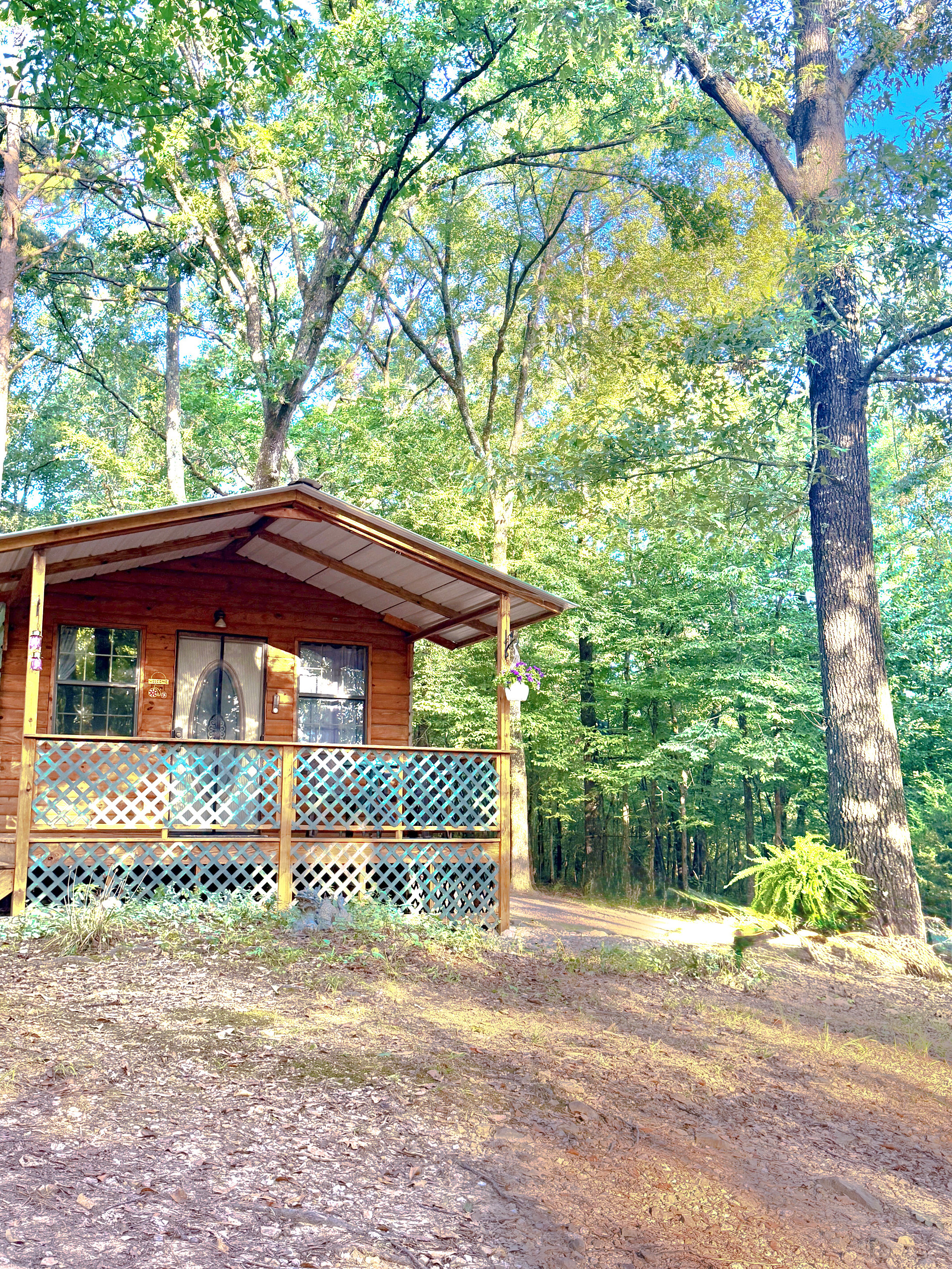 Cabin in the Woods
