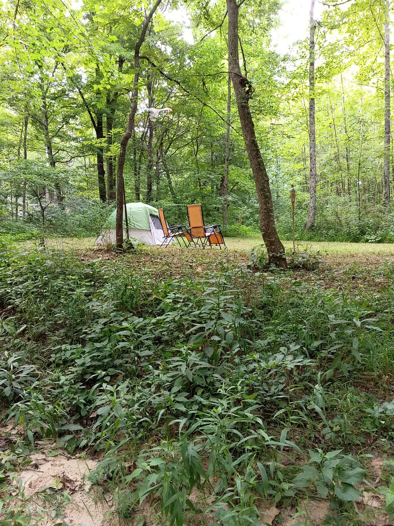 Wander-land at Wildflower Creations