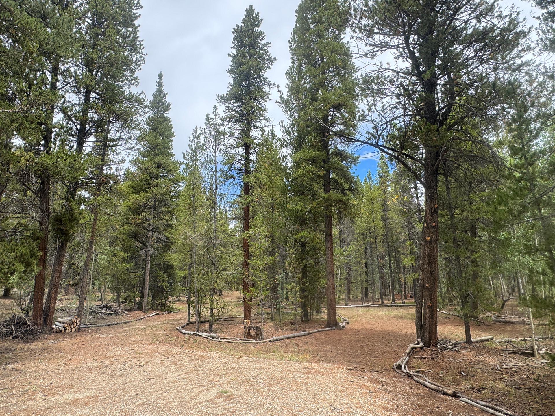 View of campsite from Beaver Ridge Rd.