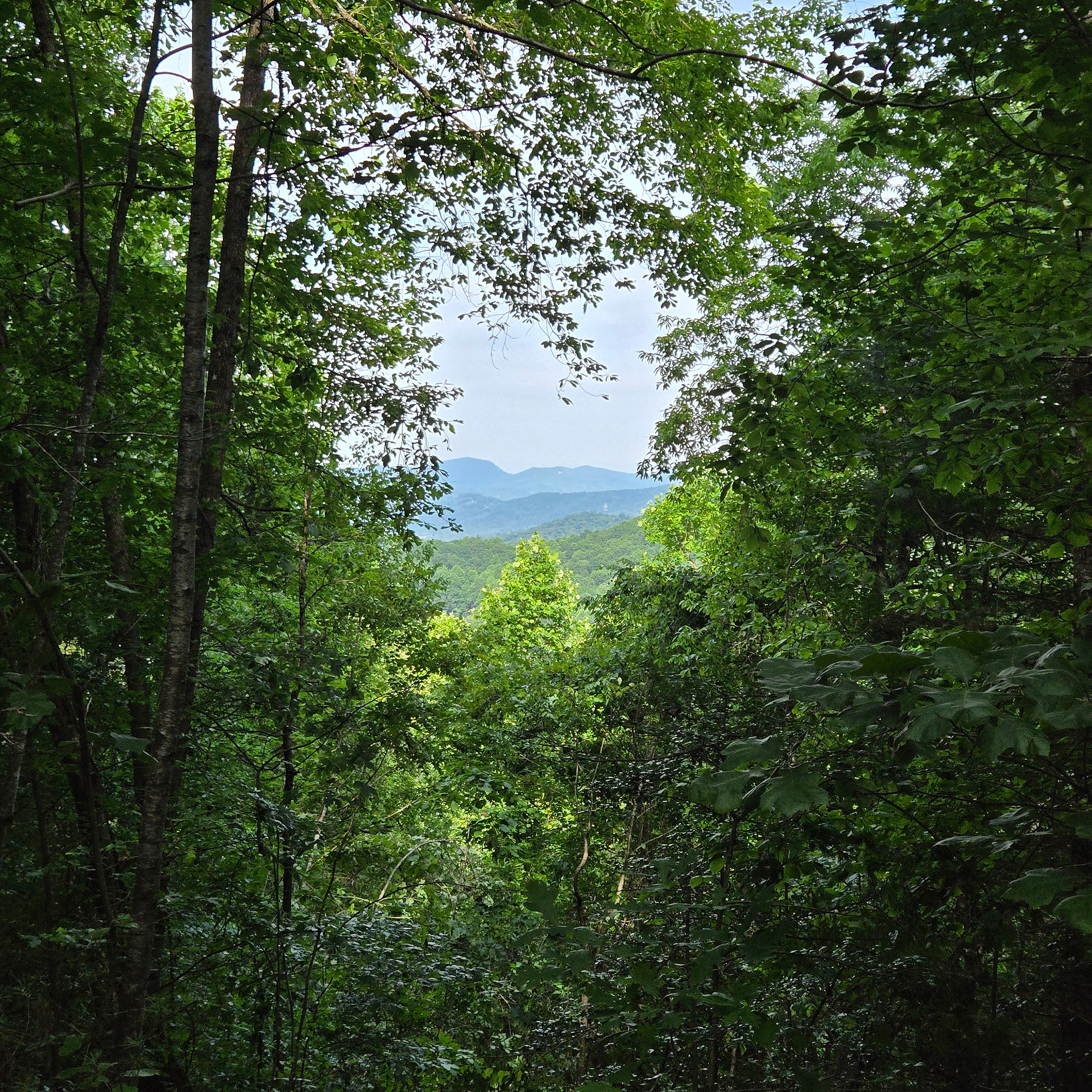 Cardinal Mountain Campground