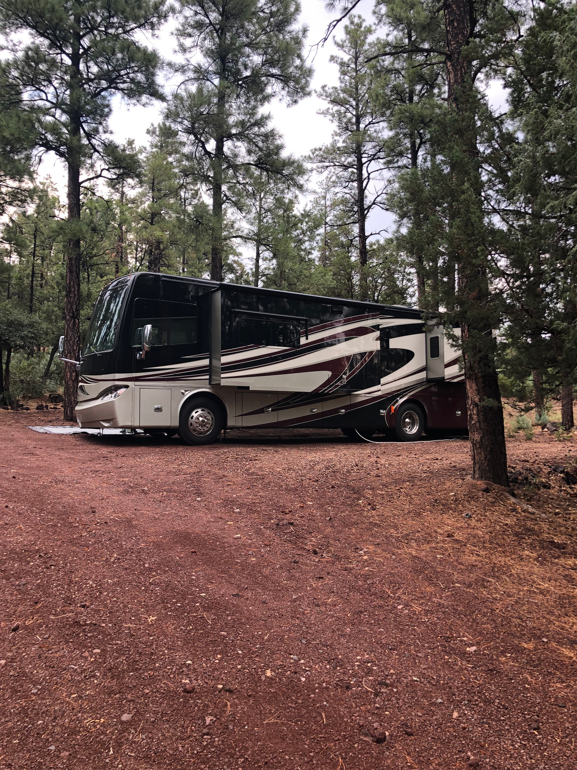 Elk Run - Show Low