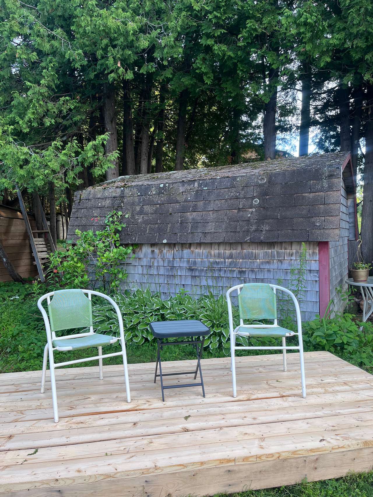 Living Strong’s Little Cabin in the Woods