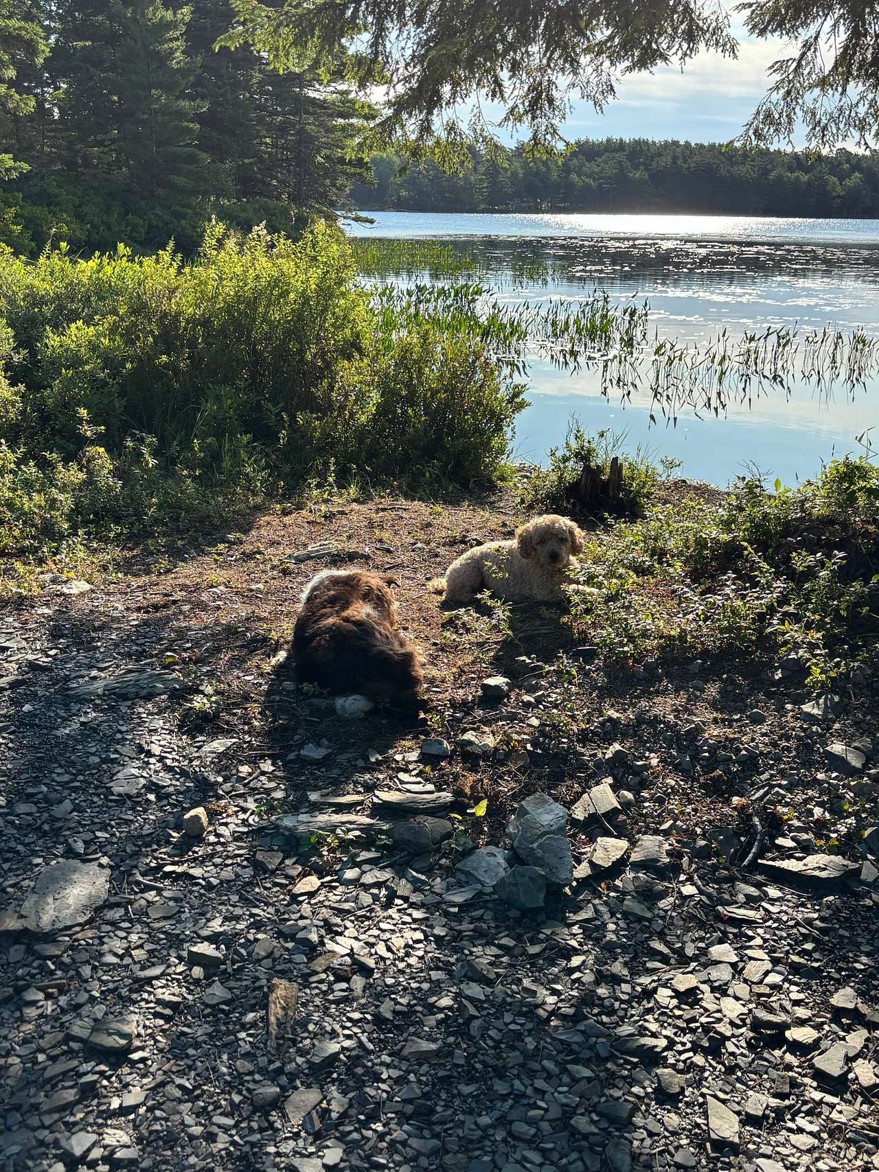 Ashland Lake Retreats At Grant Lake