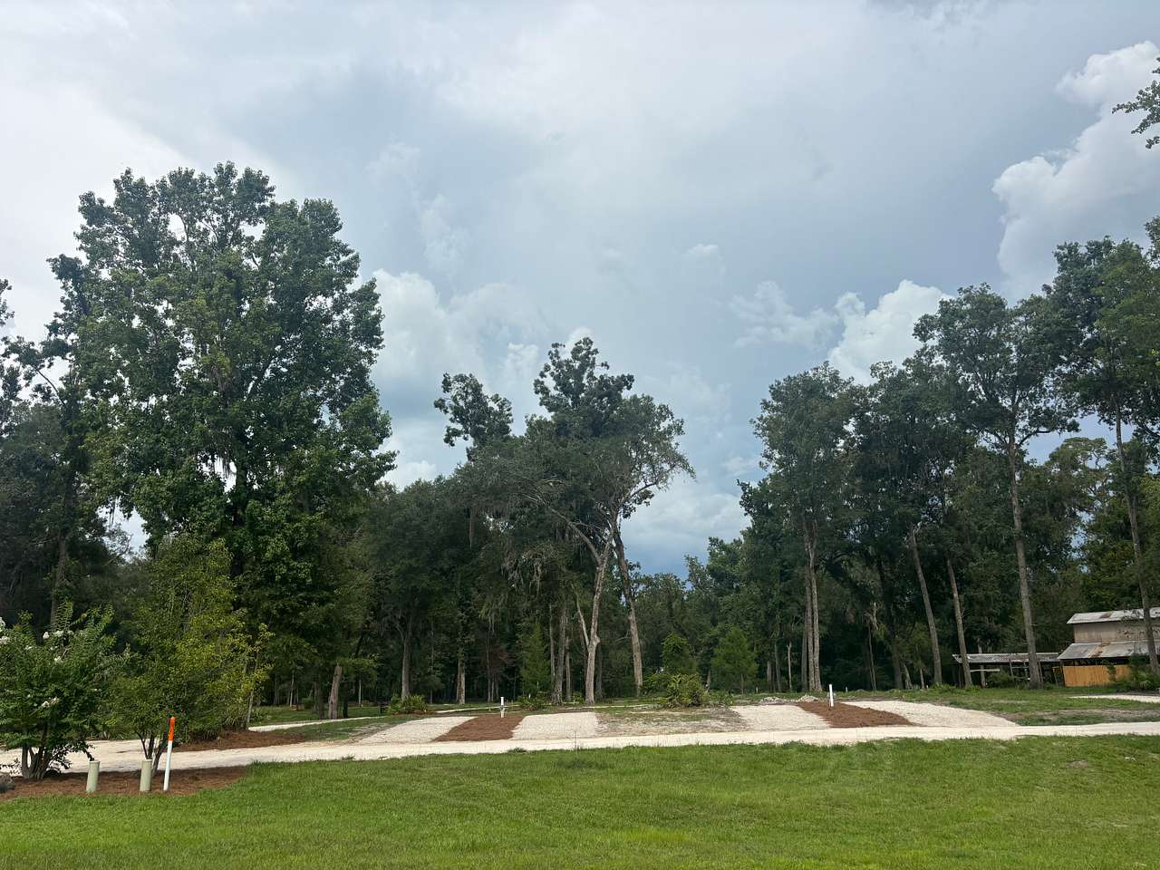 Treehouse Springs