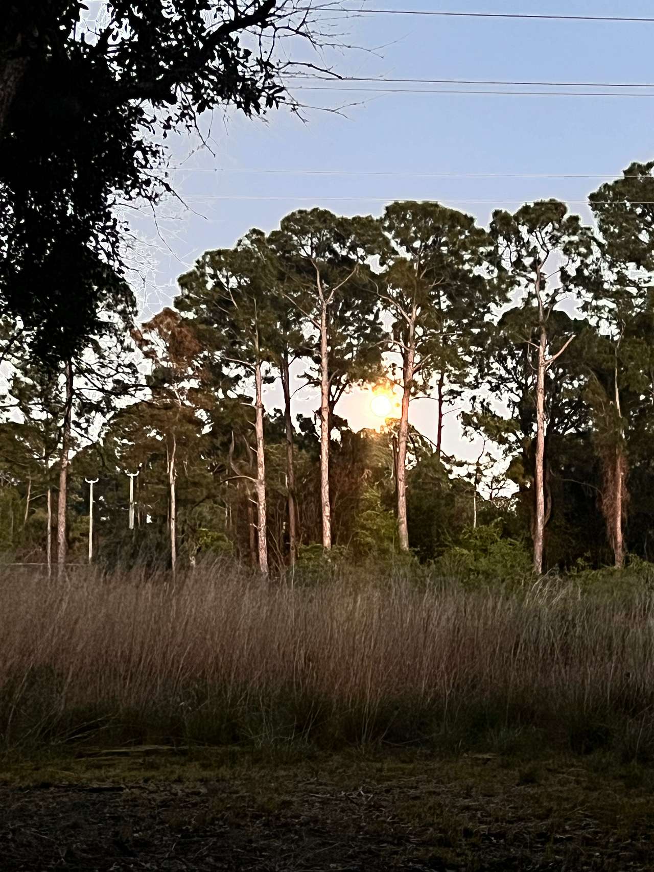 The Pines Hideaway RV Retreat