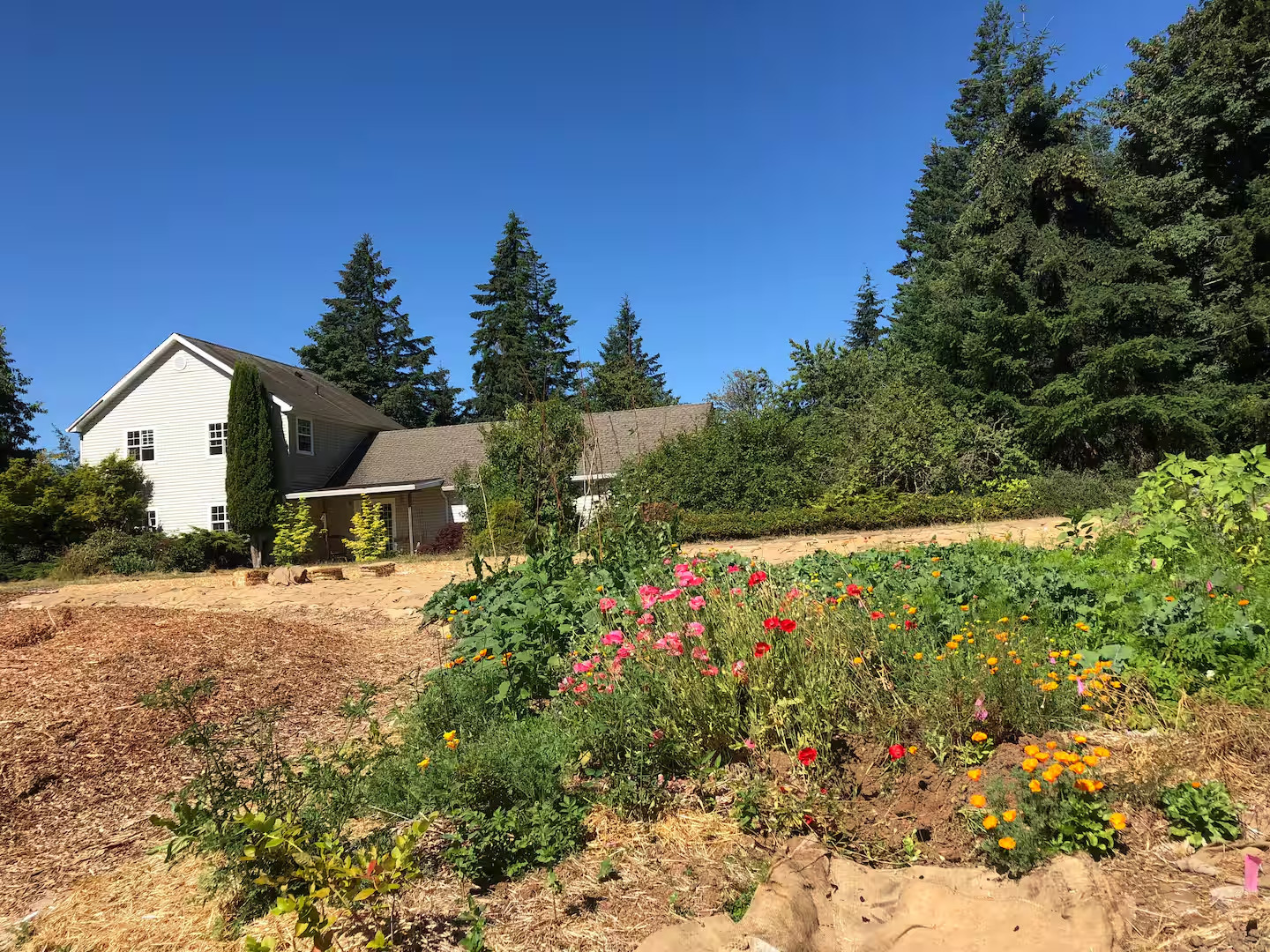 Cloud Forest Farm