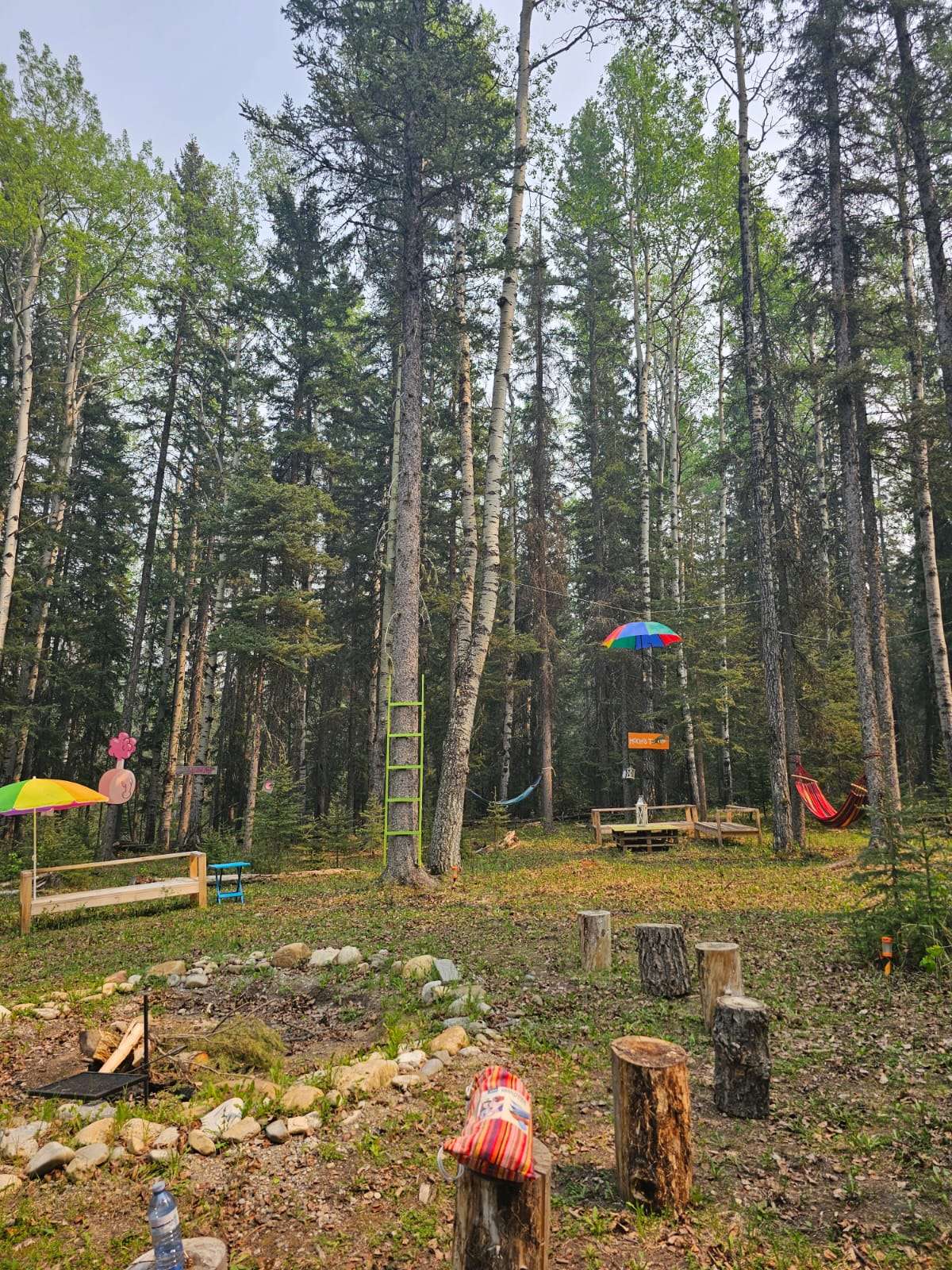 O Camp