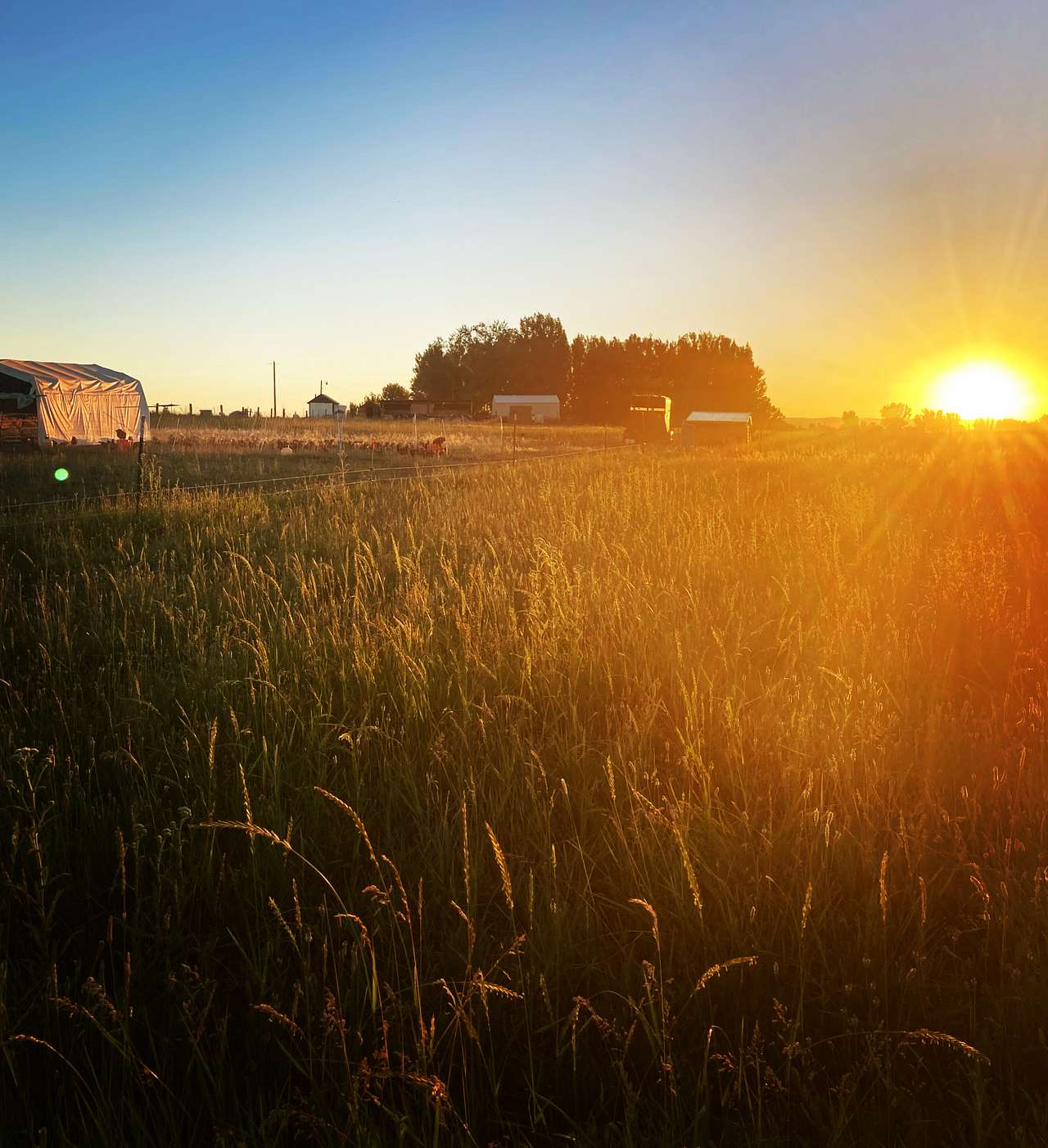 Folk Farm