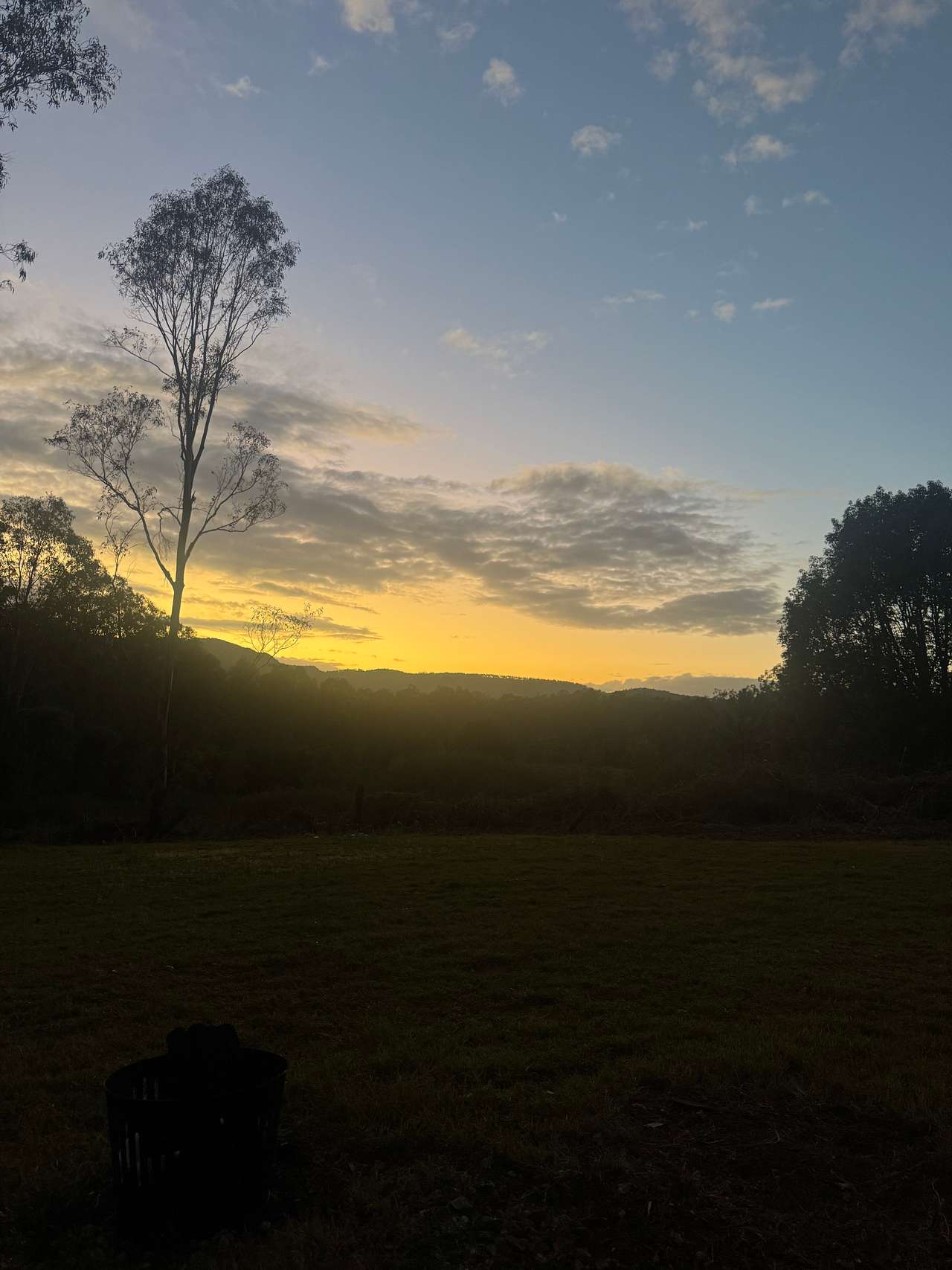 The Paddock in Tamborine