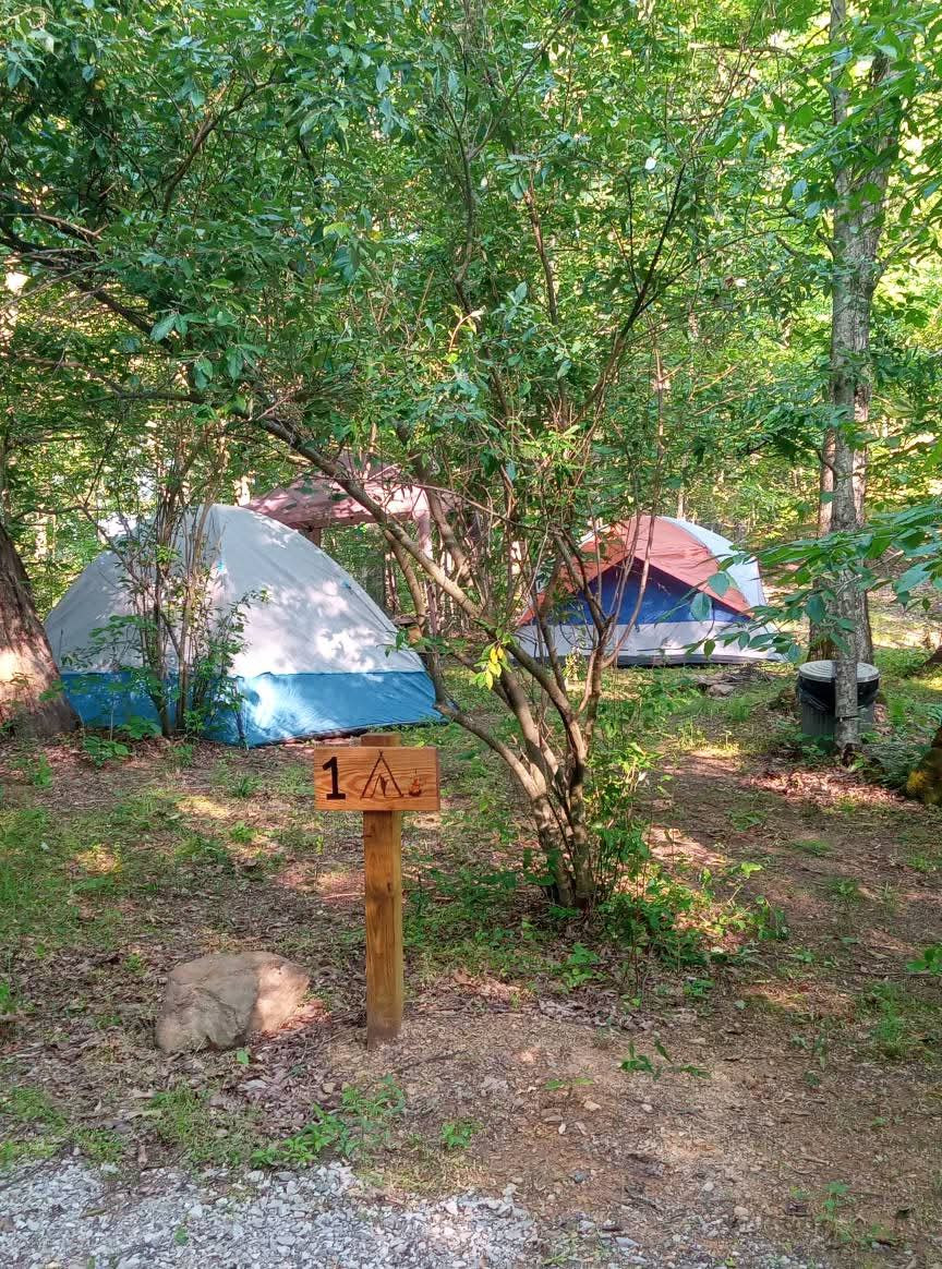 Poca Valley Cabins