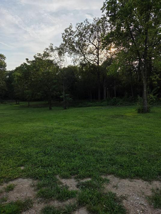 OFlynns Campsites