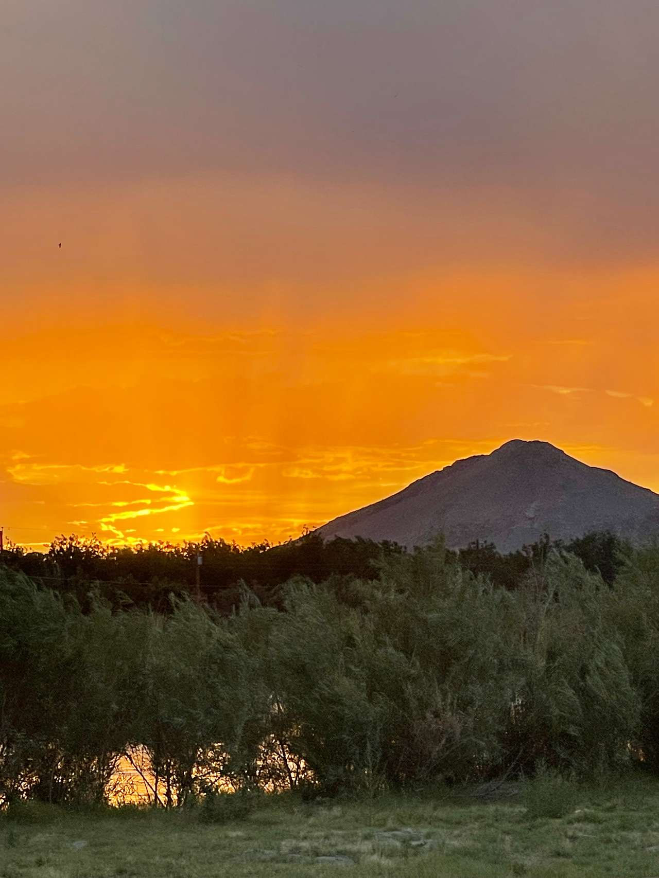 Prehistoric Sunsets