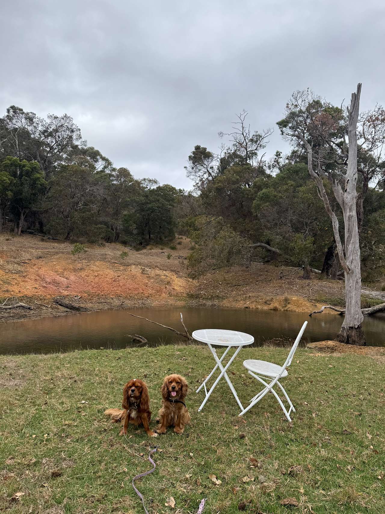 Gull Rock Farm