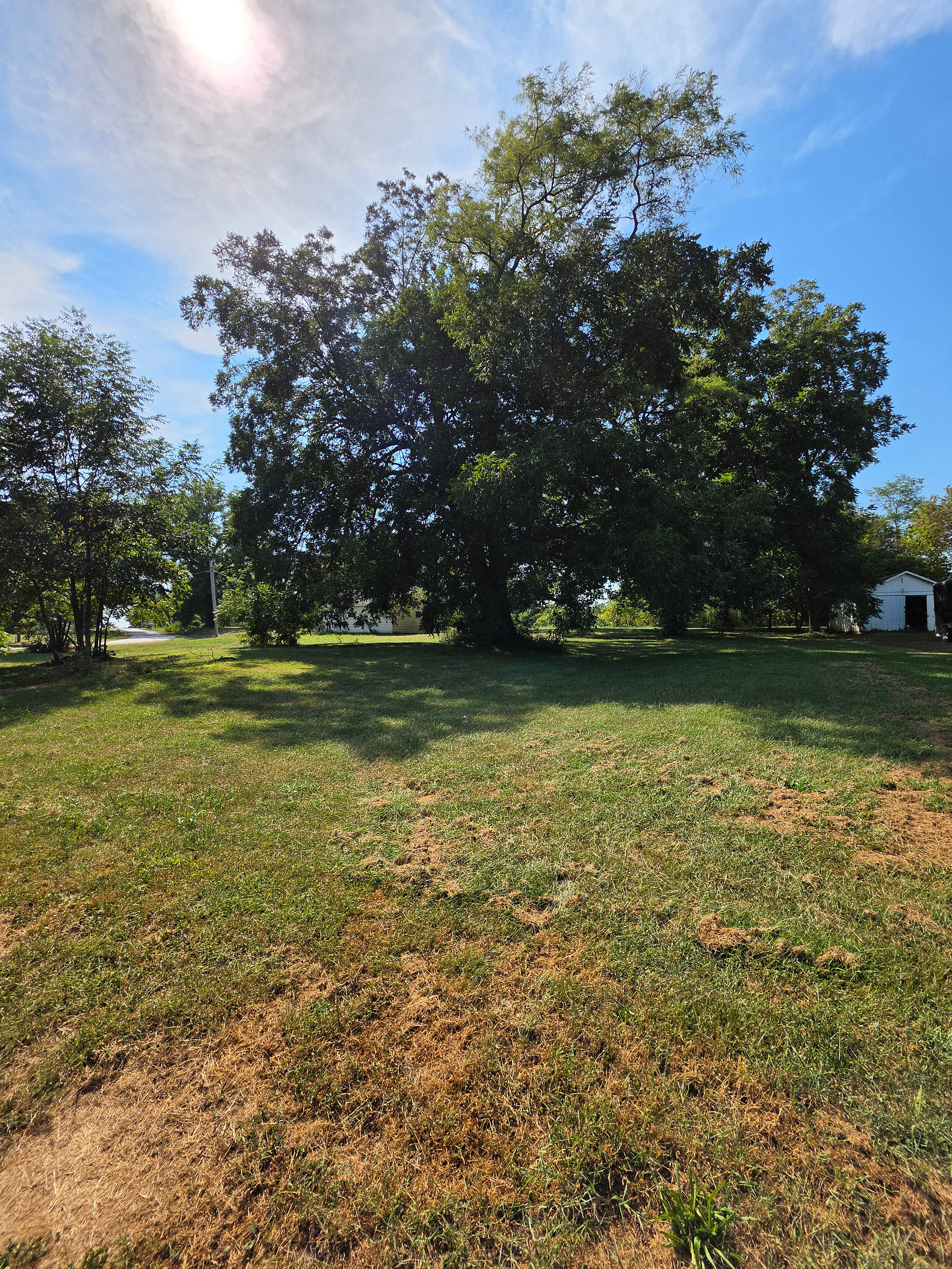 12 Acres in Linneus, MO