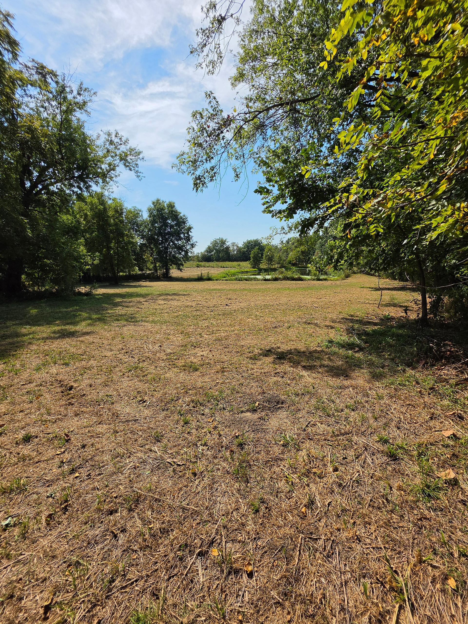12 Acres in Linneus, MO