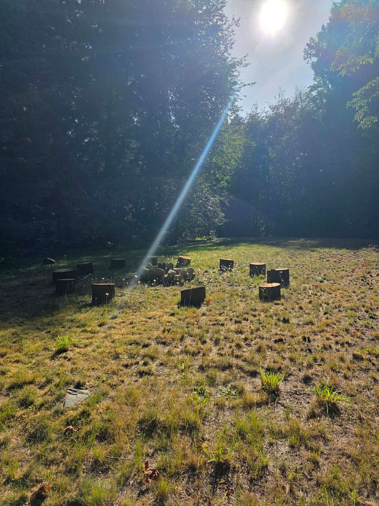 Midsommer Meadows