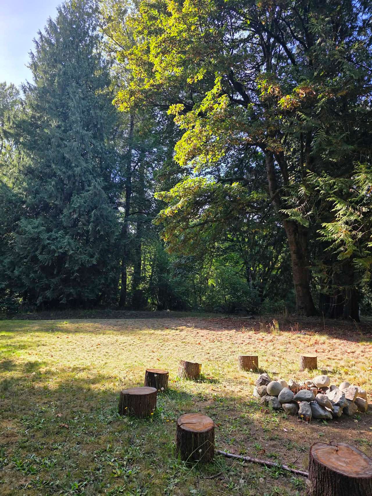 Midsommer Meadows