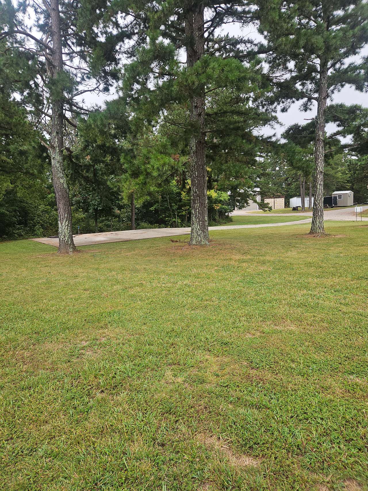 Hilltop Pines
