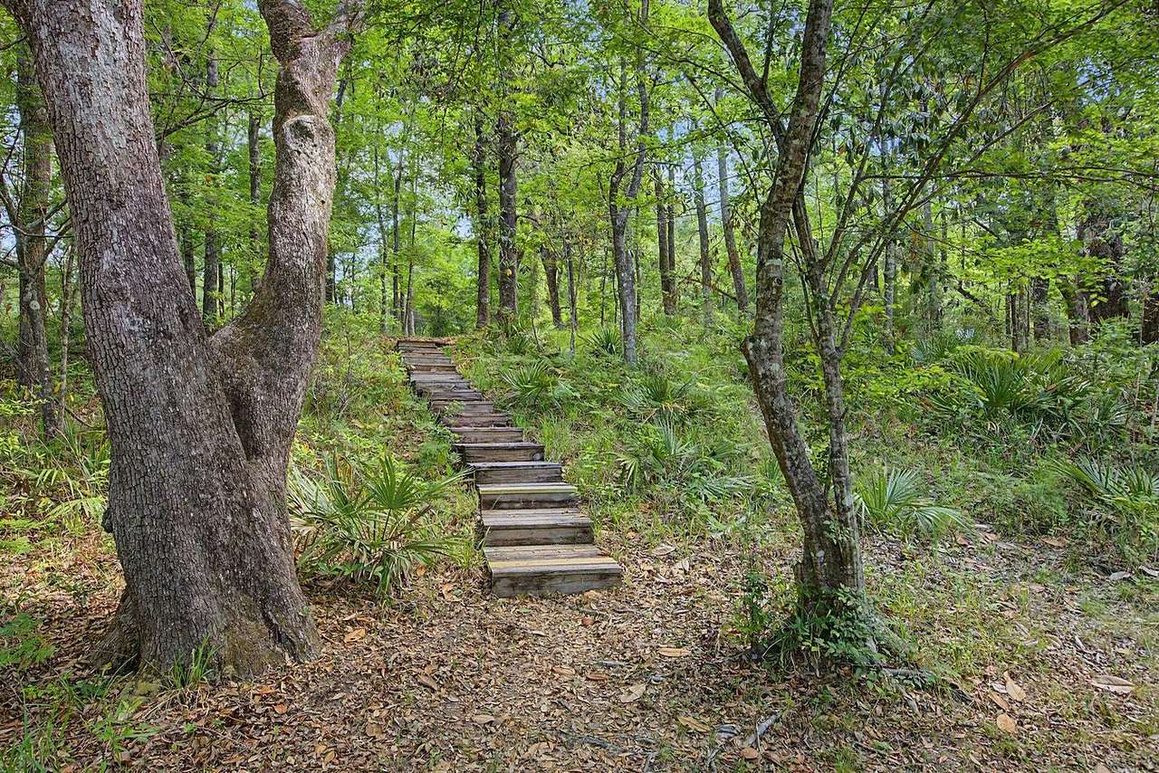 Sopchoppy Treehouse