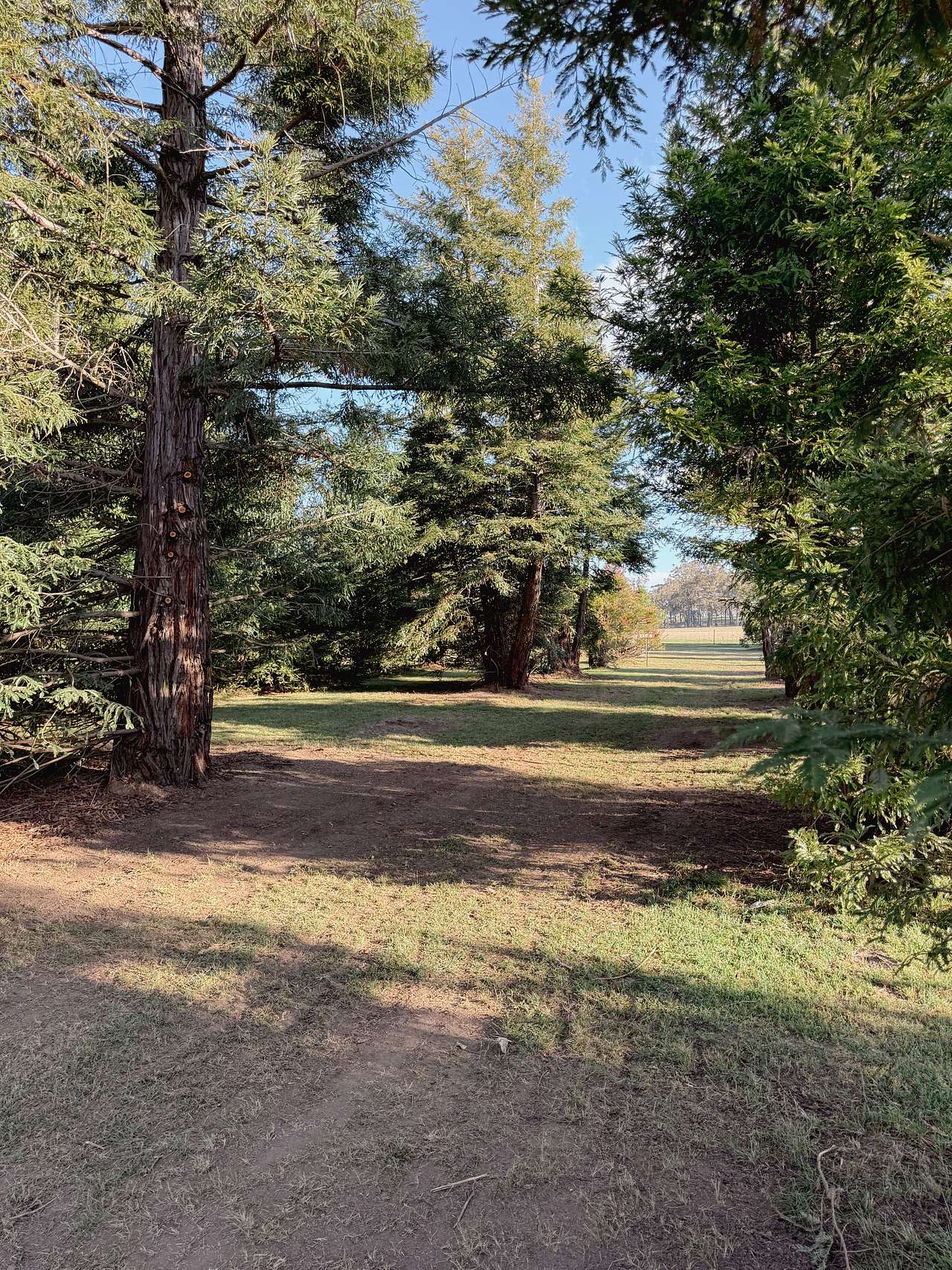Sequoia Retreat at Rock Abbey Gardens