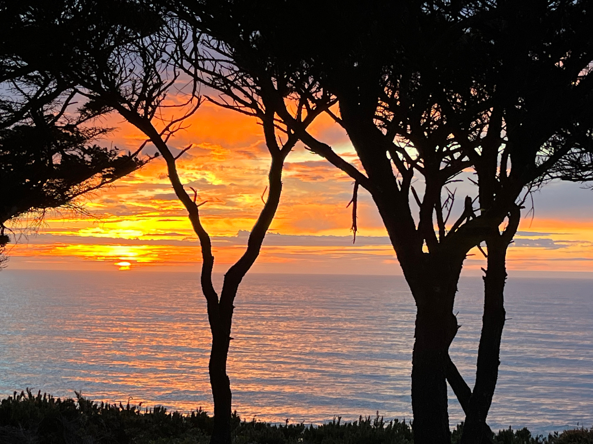 By The Sea