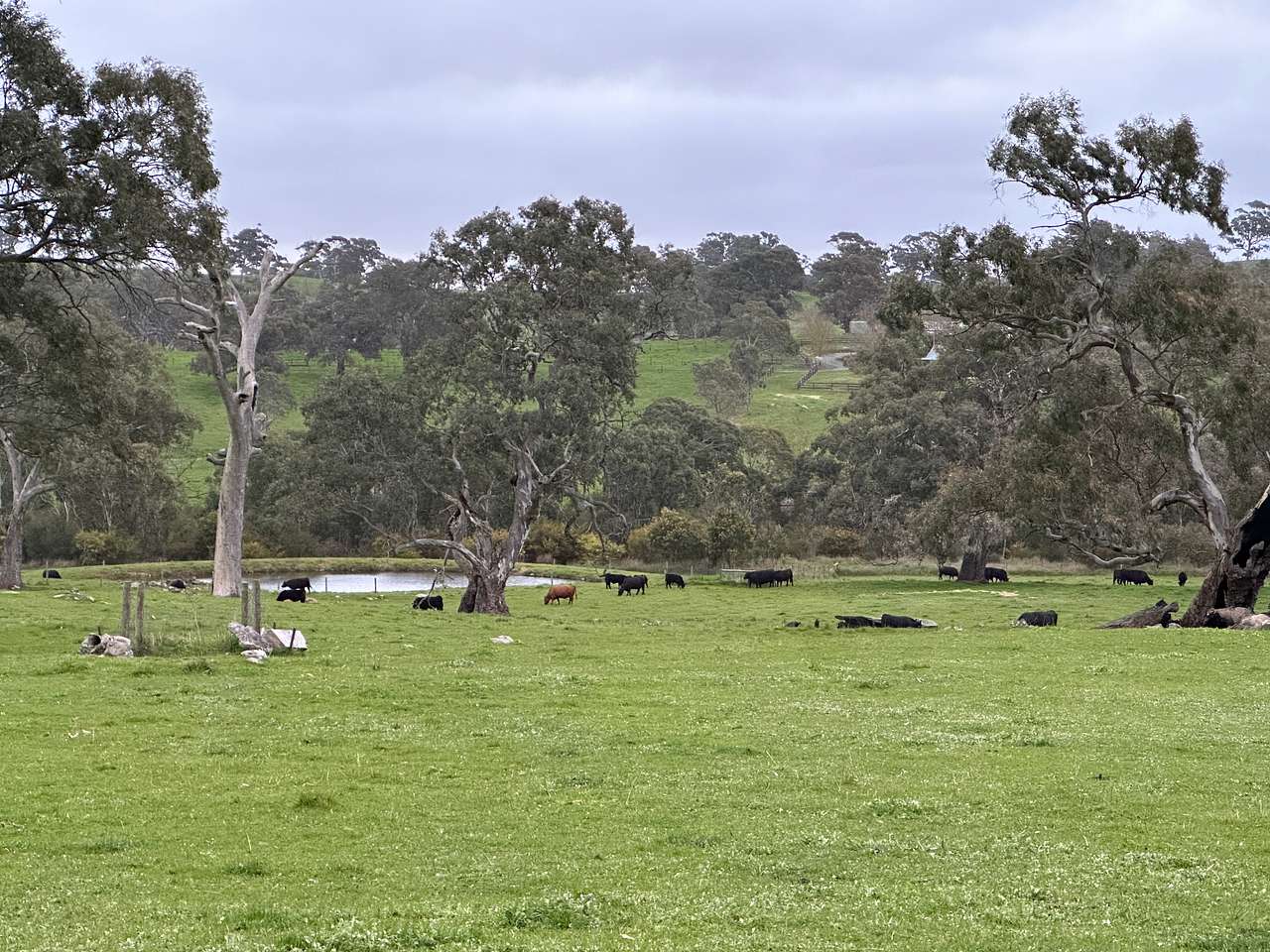 Woodside Farm Short Stay Adelaide Hills