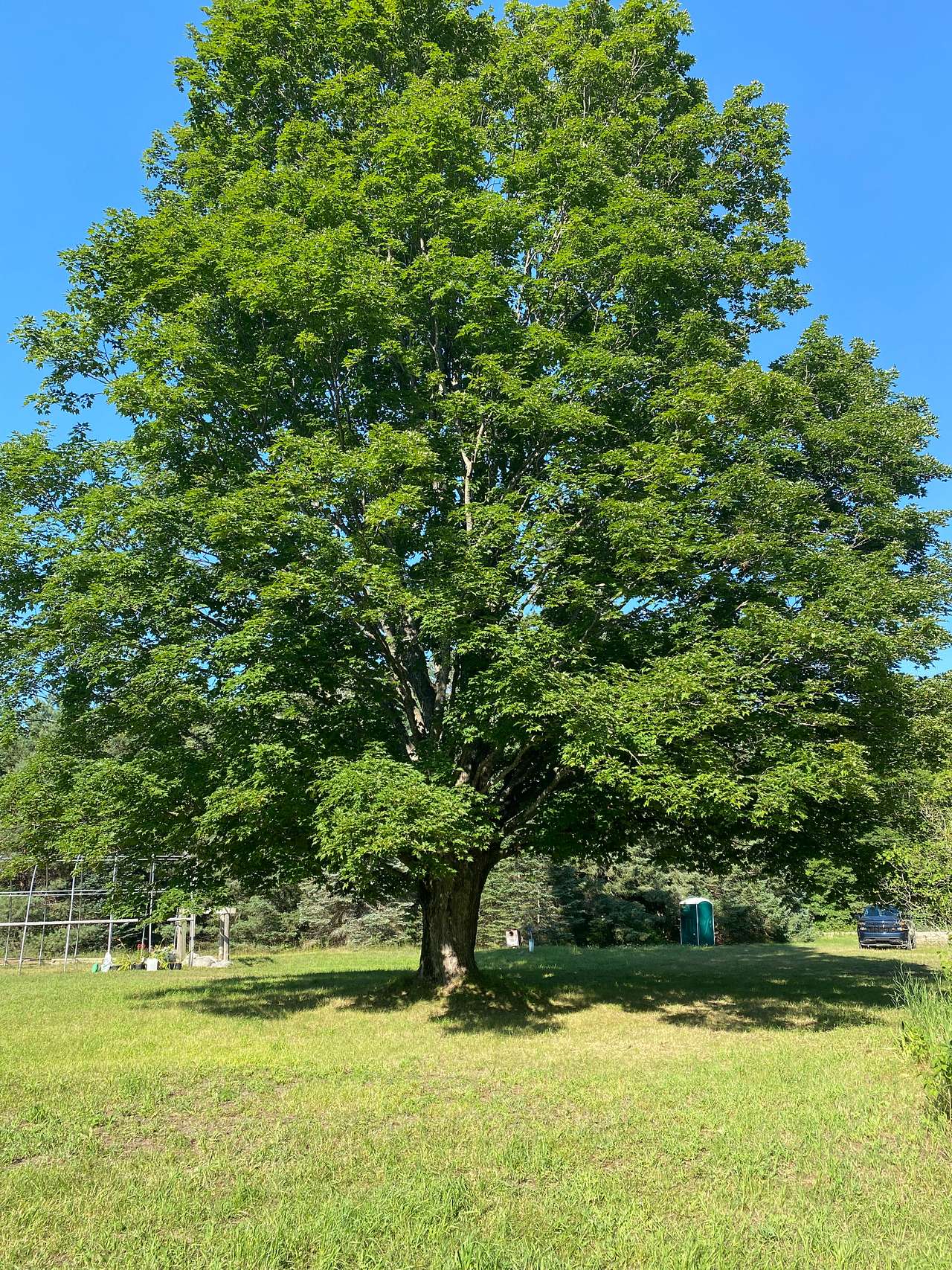 Wild Roots Farm