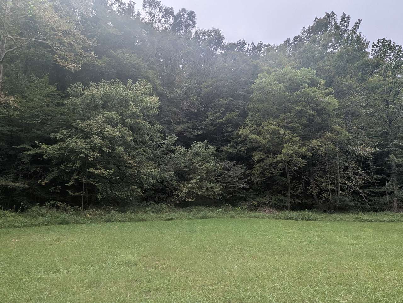 Big Branch Farm