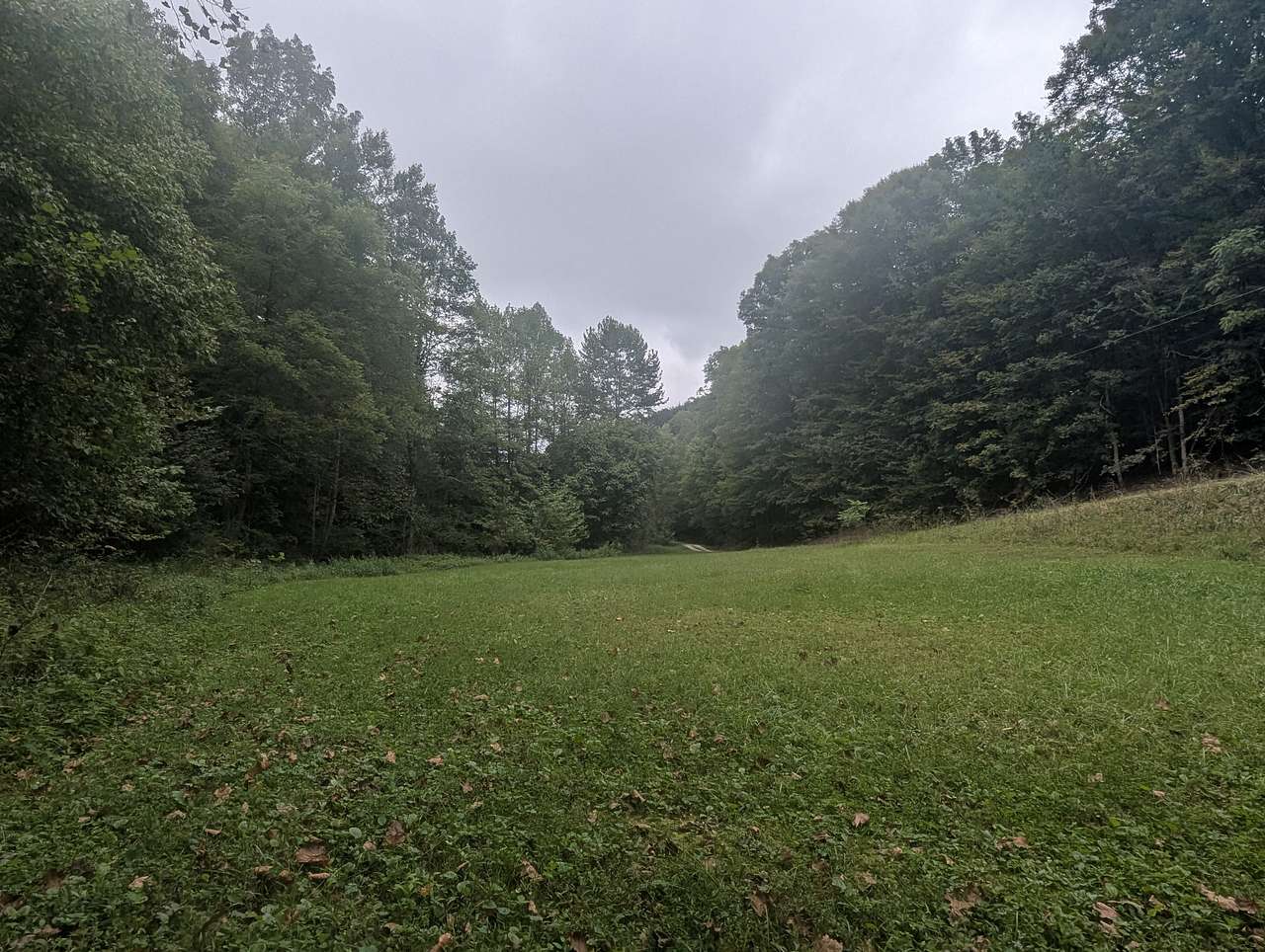 Big Branch Farm