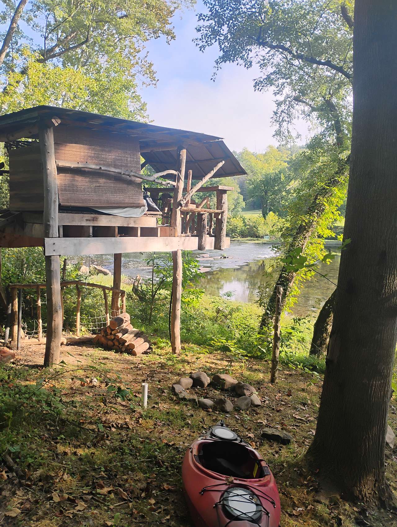 Rewild Wilder at Willowwood