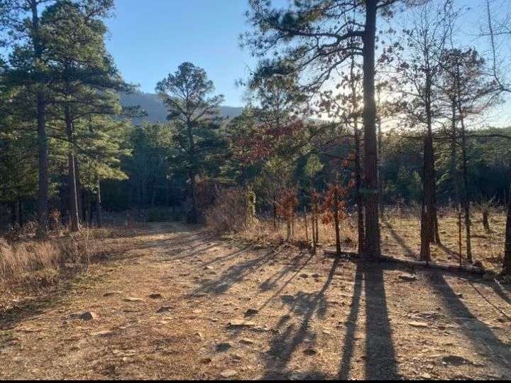 Blue Mountain Off Grid