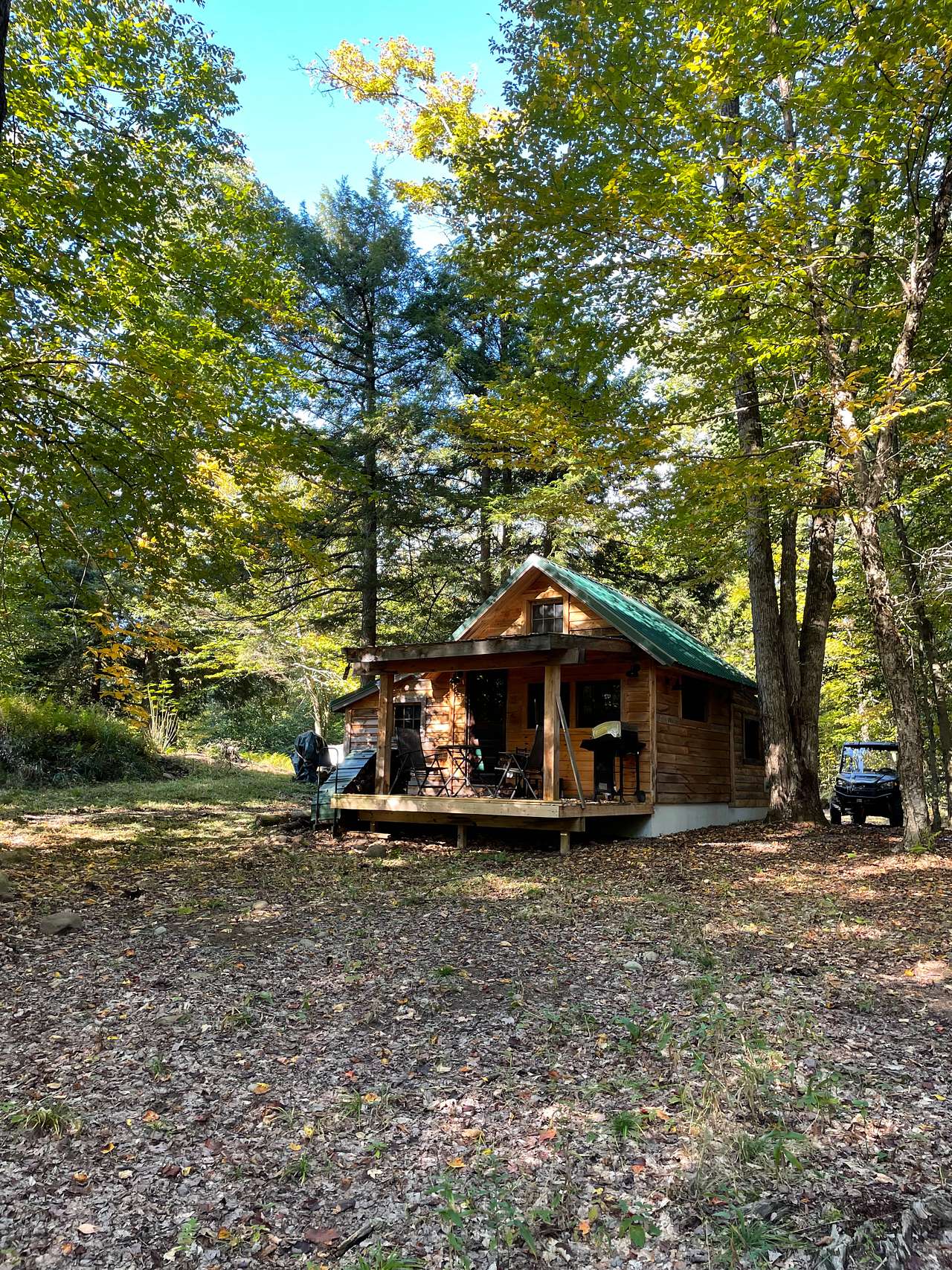 The Cabin
