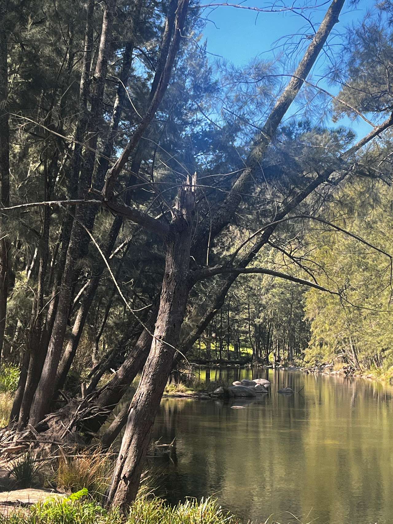 Cox's Riverside Camping