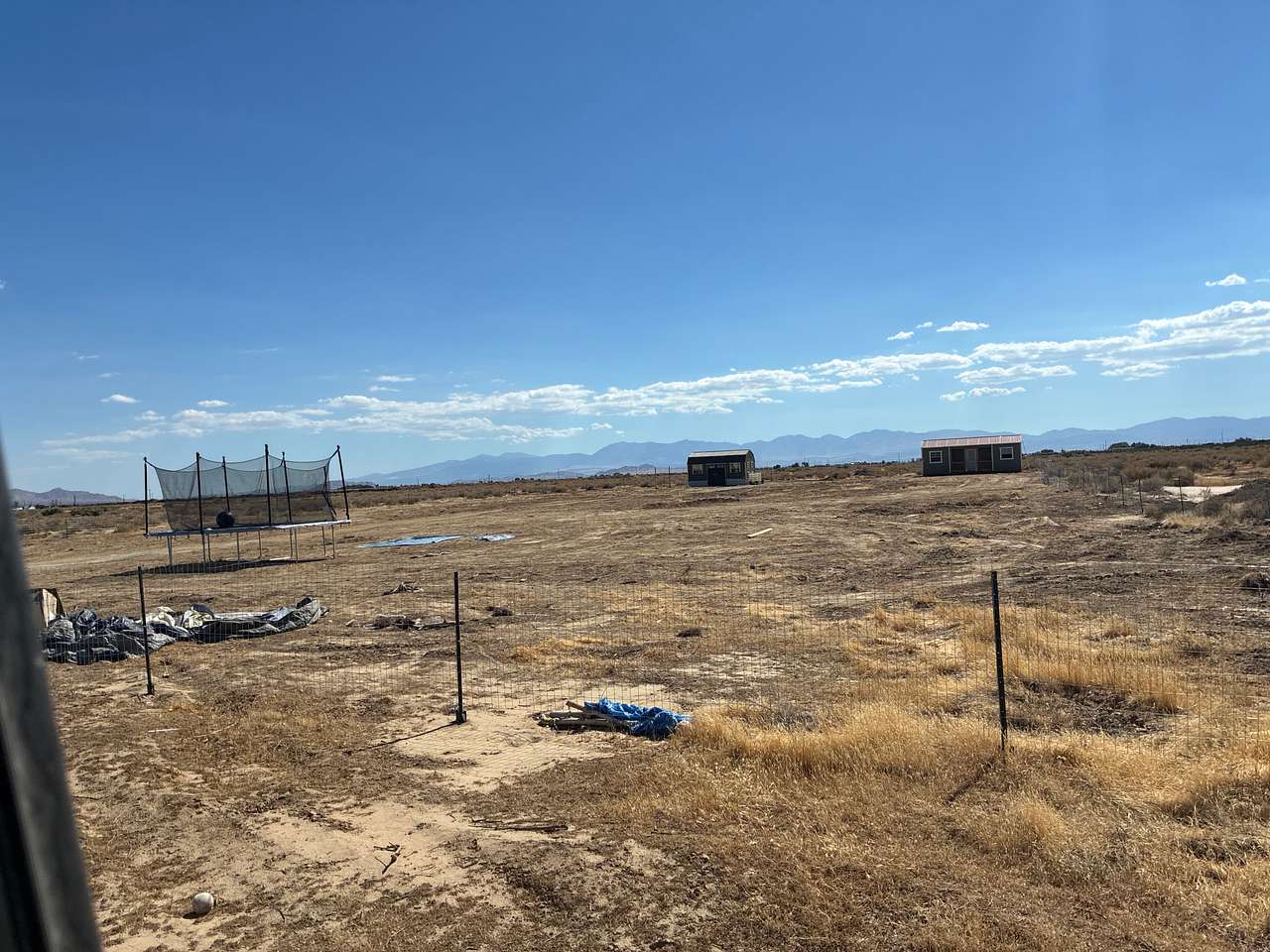 Freedom Ranch: free yourself