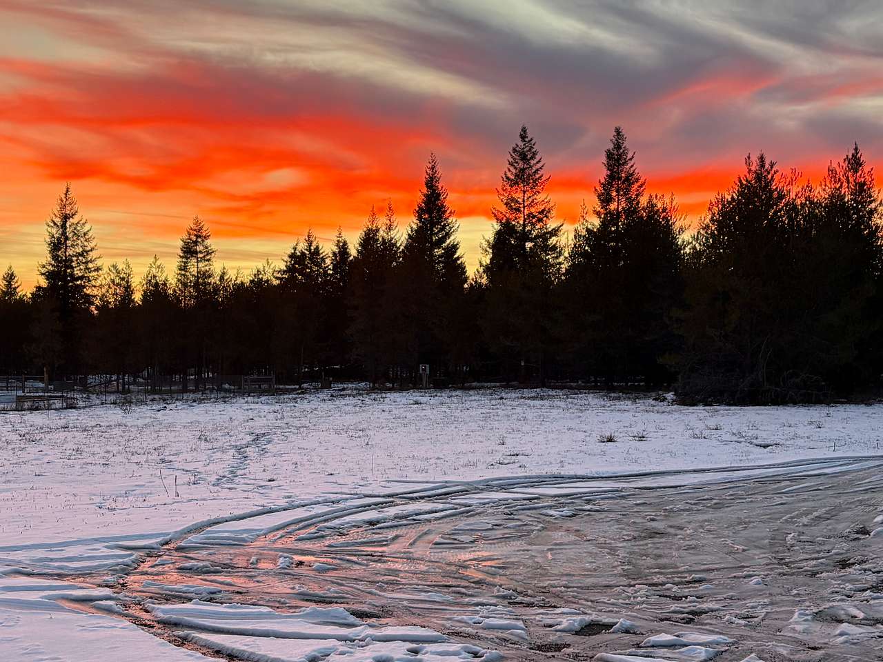 Winter Haven