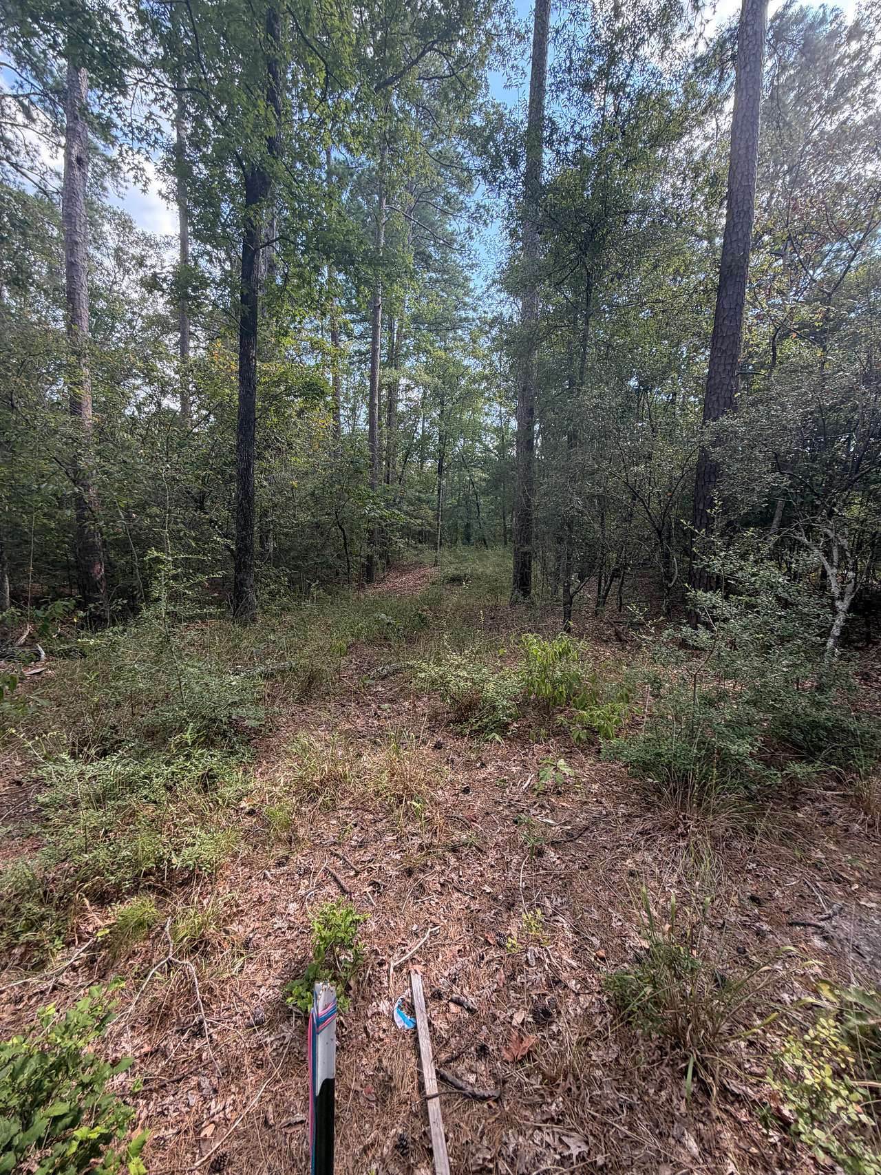 Tarver Campground