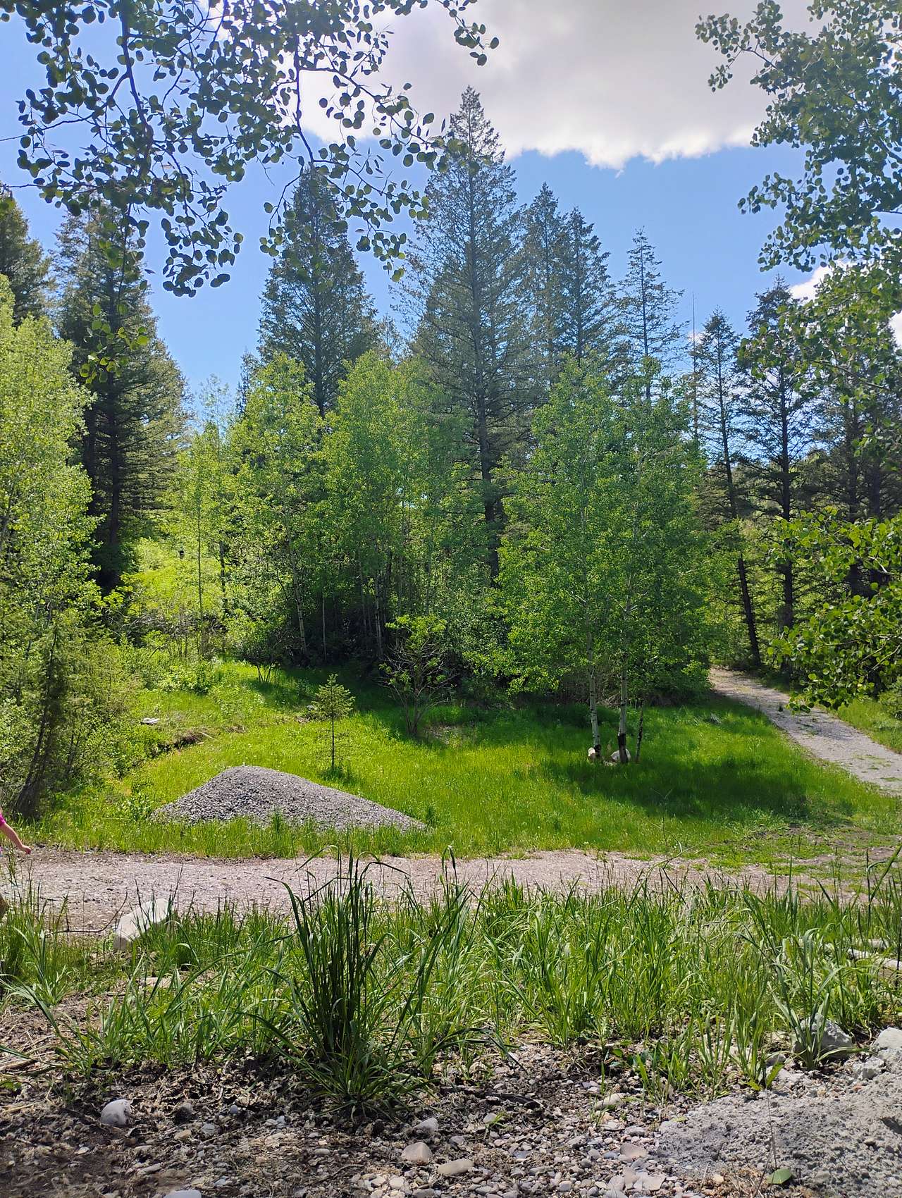 Oquirrh Grove