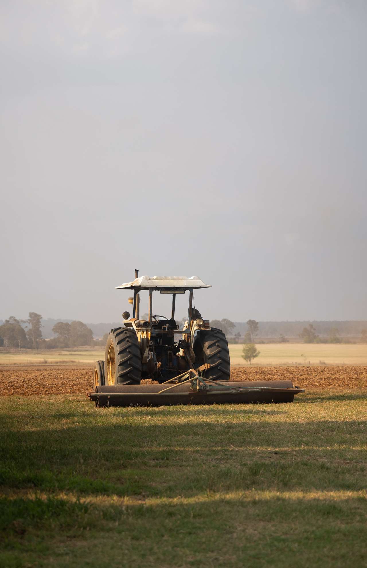 Home Farm