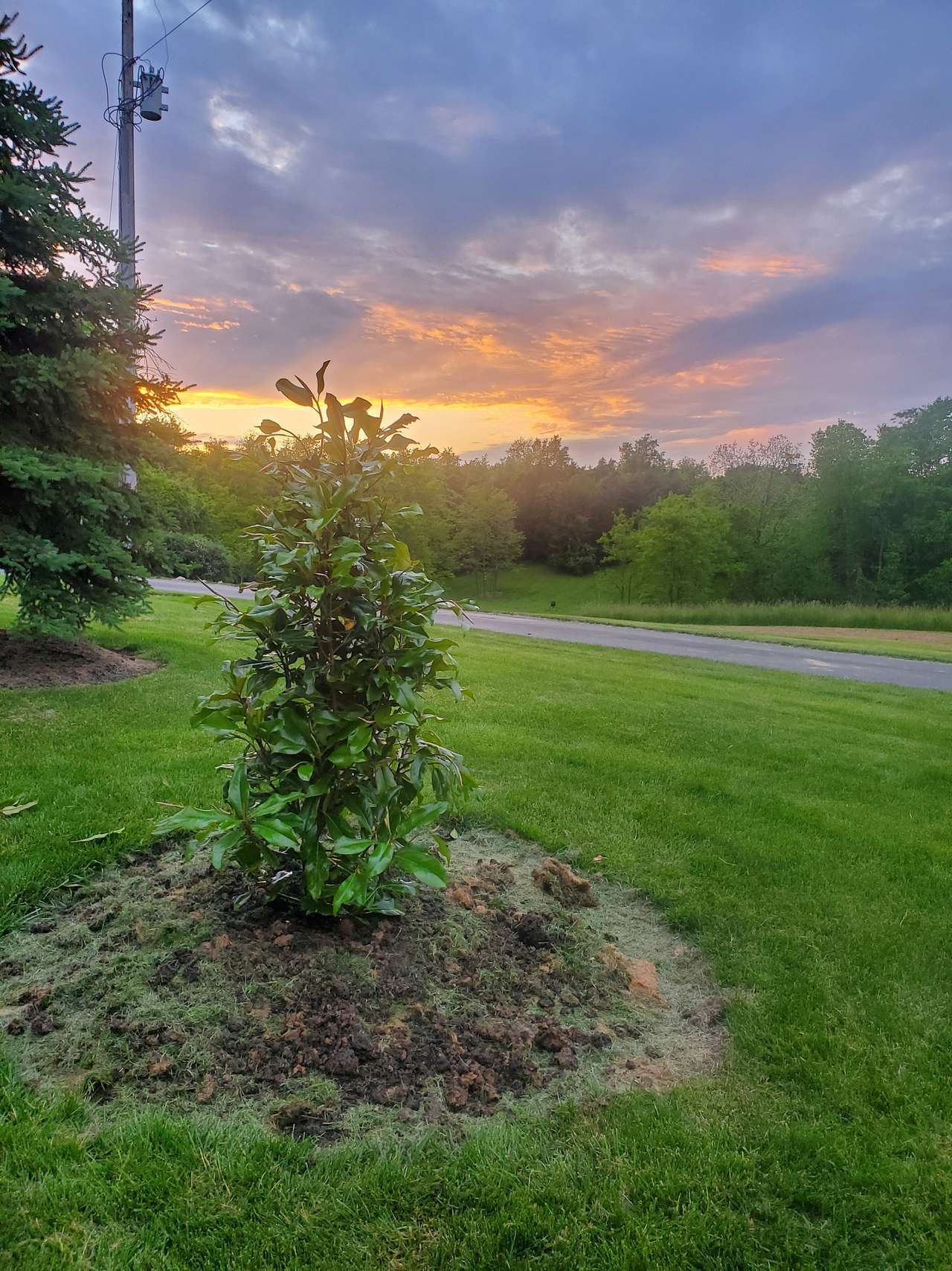 Whispering Woods Retreat