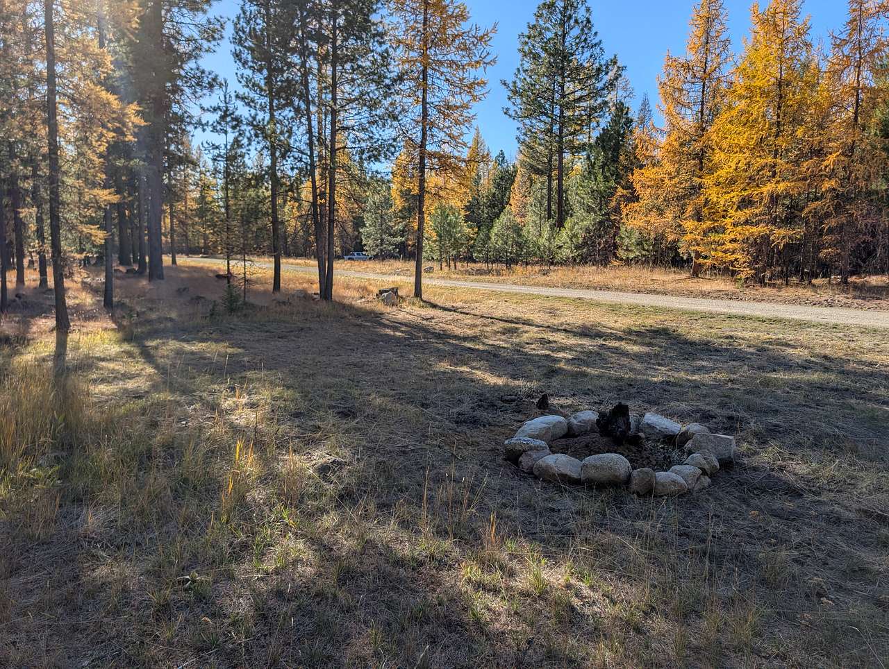 Critter Catcher Camp