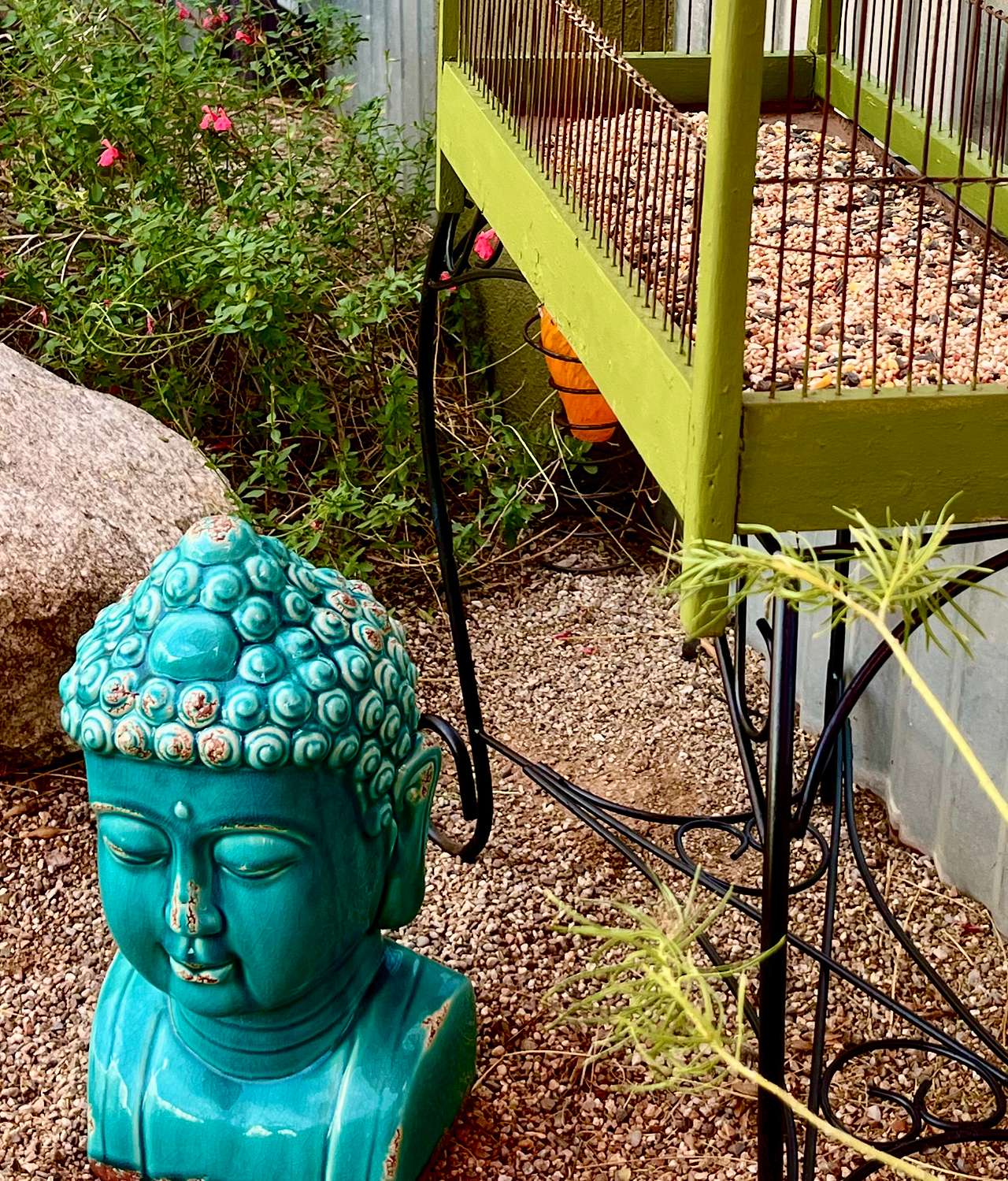 Bird feeding station in your private courtyard garden 